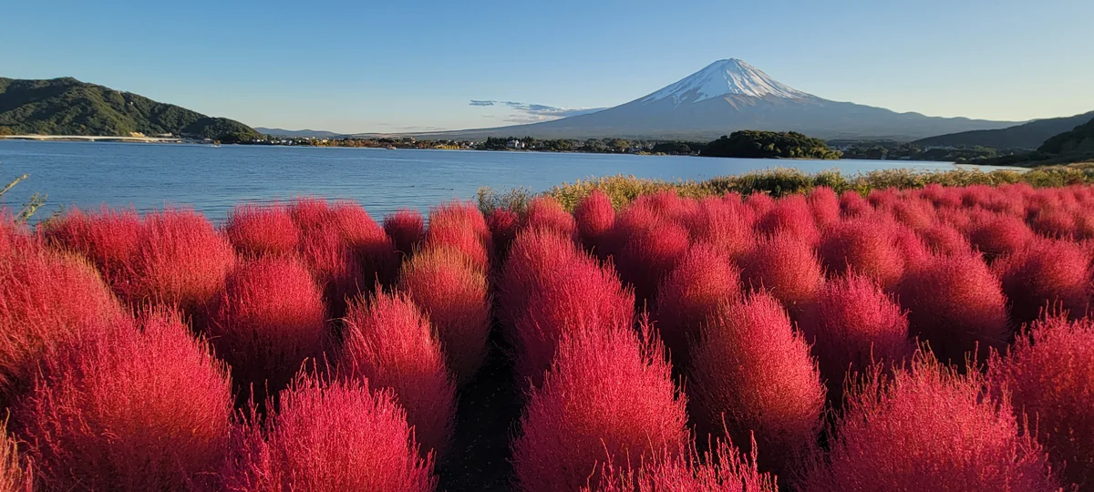 αFinderさんの投稿写真