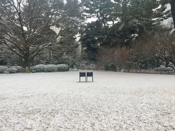 投稿：目黒美術館