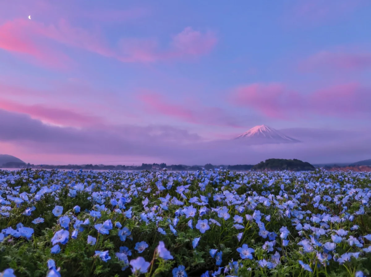 伊藤 和平さんの投稿写真