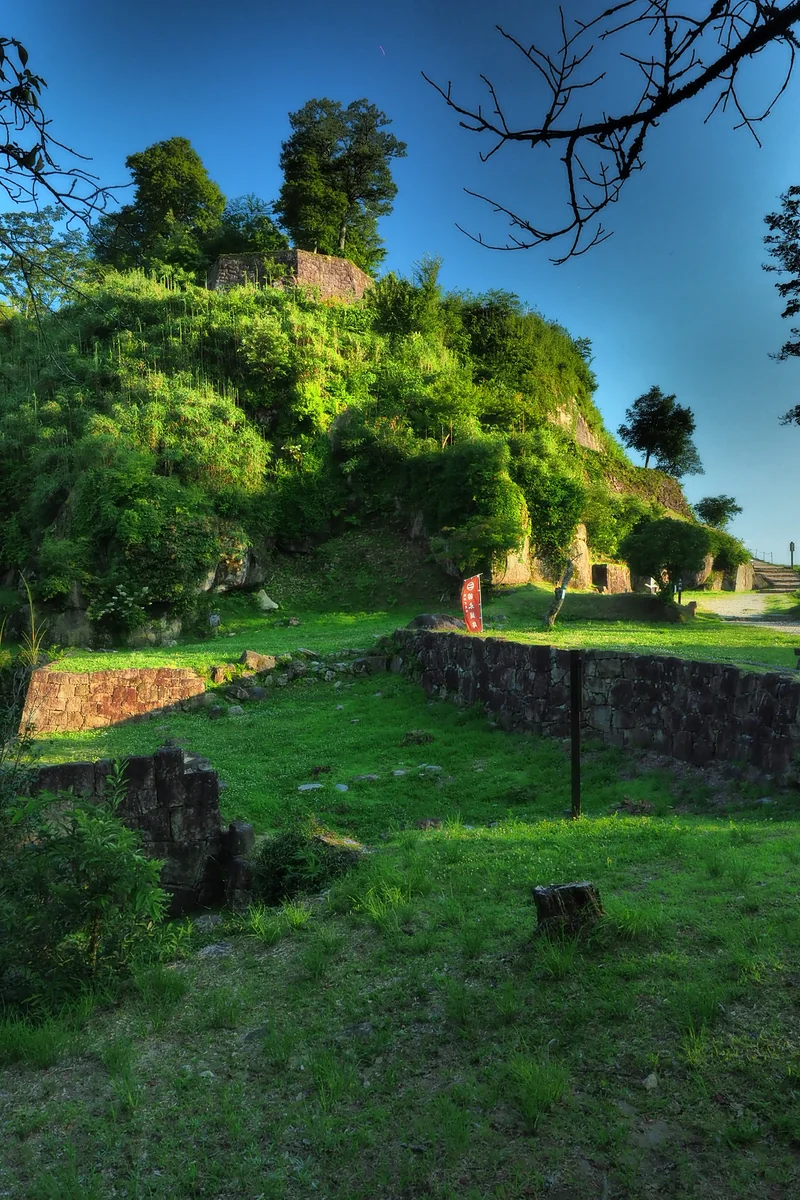 投稿写真：苗木城　夏草