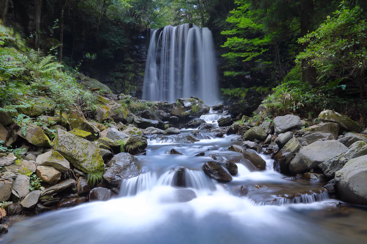 投稿写真：唐沢の滝