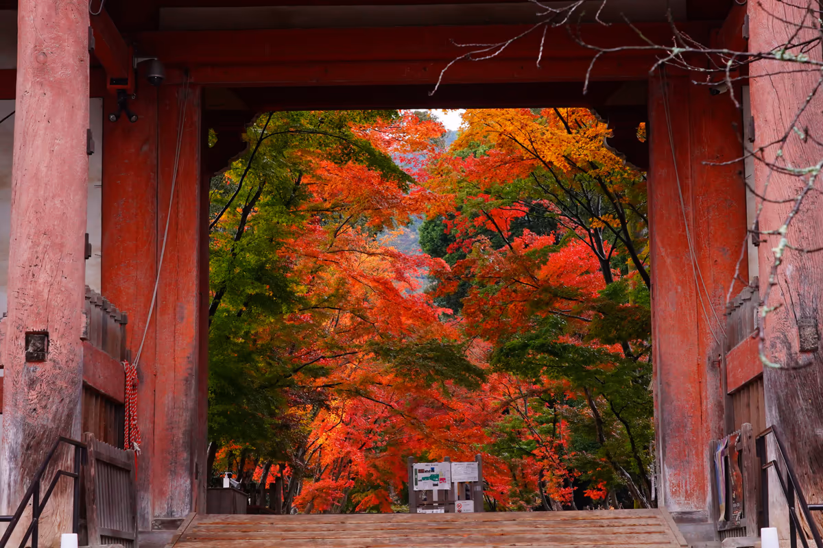 投稿写真：醍醐寺