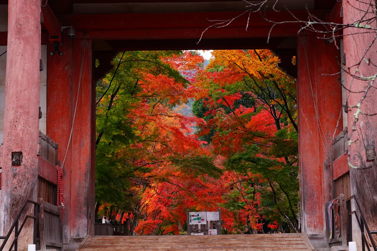 投稿写真：醍醐寺