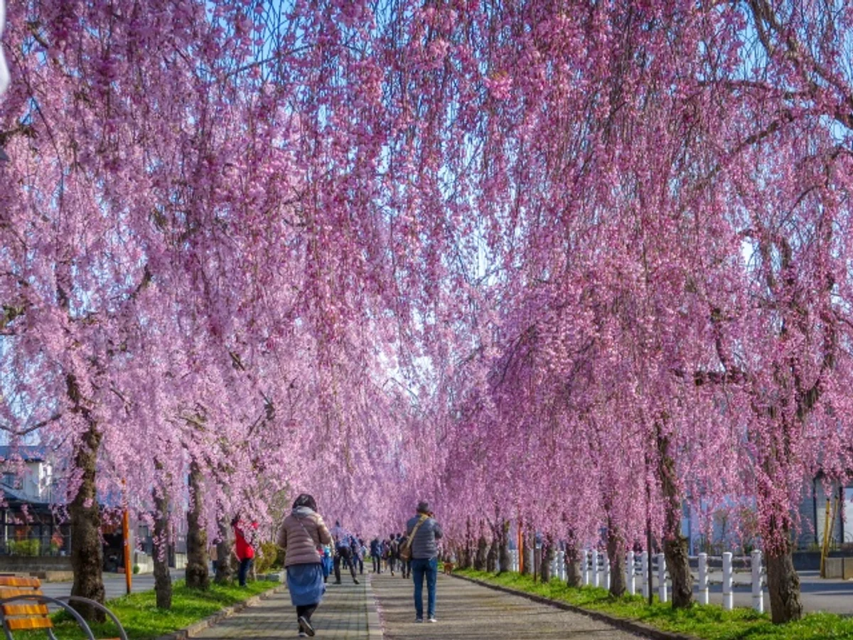 伊藤 和平さんの投稿写真