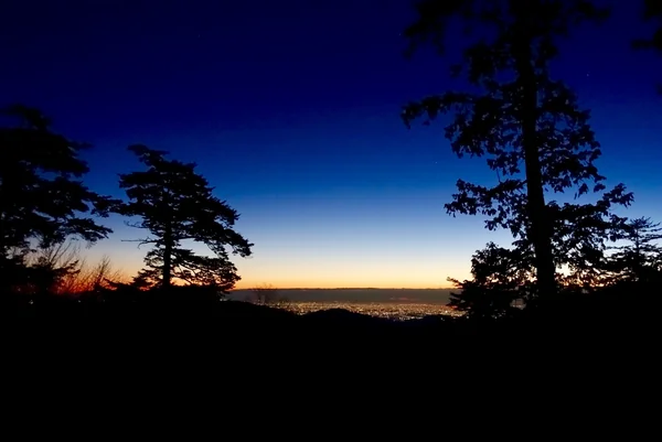 投稿：東京の夜明け