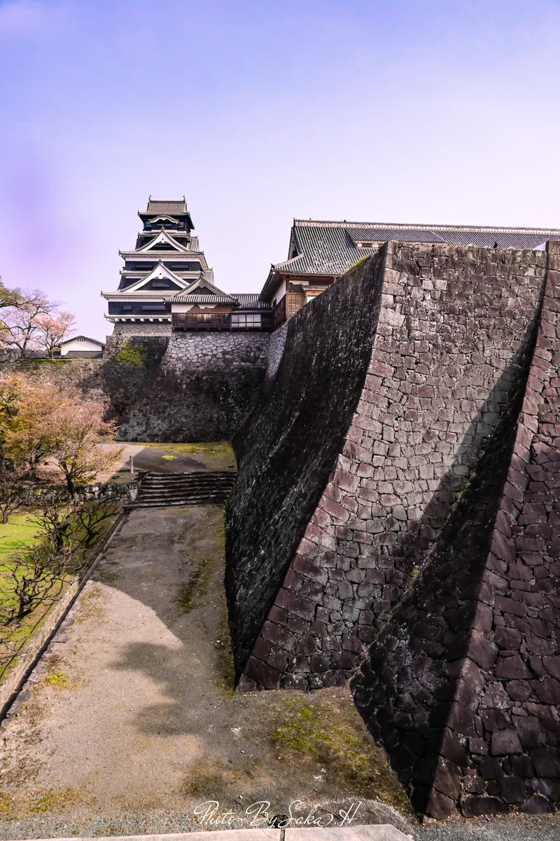 投稿写真：熊本城天守閣と石垣