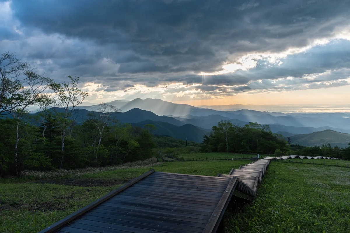投稿写真：光降り注ぐ