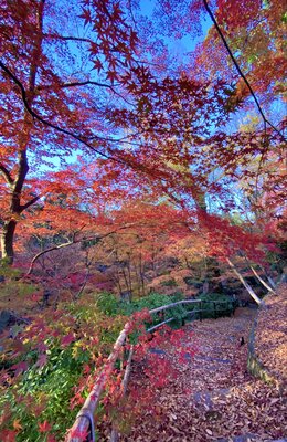  | 絶景事典