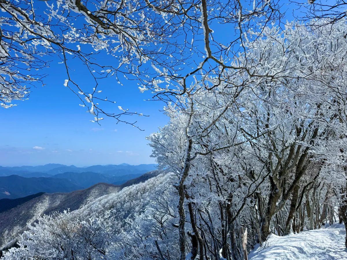 投稿写真：三峰ブルーと霧氷❄️三峰山