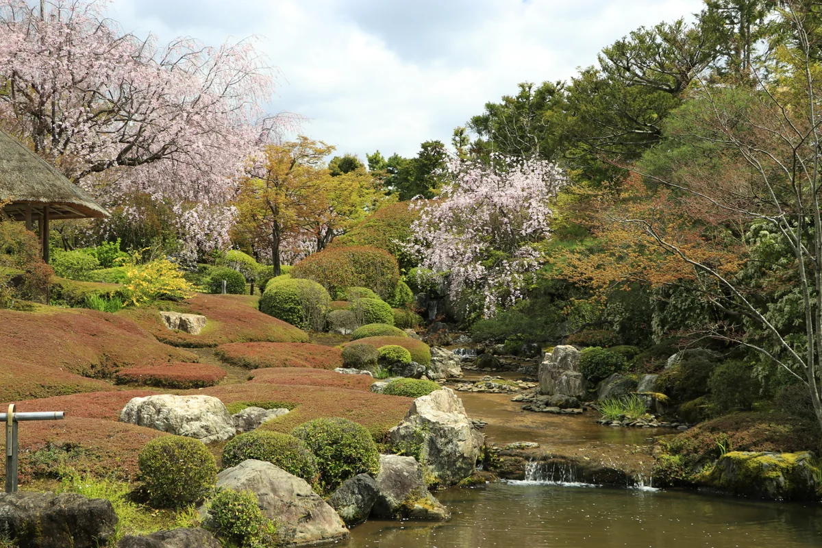 投稿写真：妙心寺退蔵院余香苑