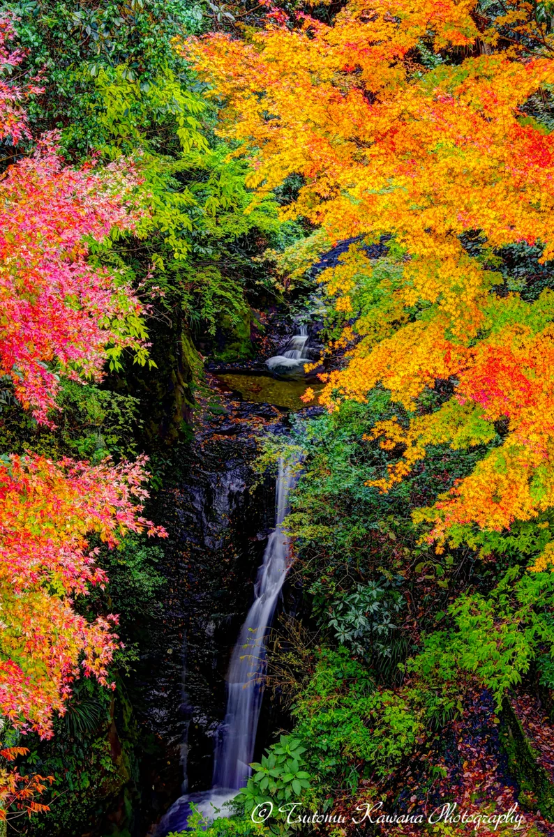 投稿写真：地蔵堂の滝と紅葉（オレンジ紅葉編）