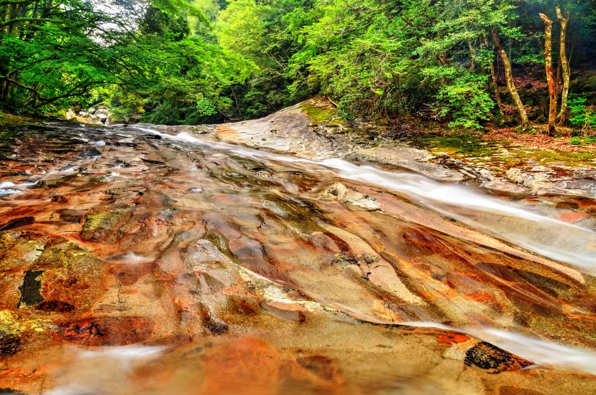 投稿写真：滑床渓谷