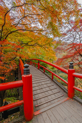  | 絶景事典