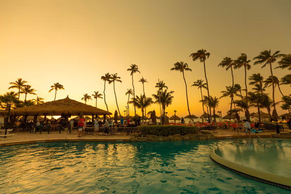 投稿：Aruba