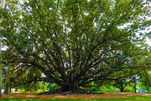 投稿：KingsParkの大樹