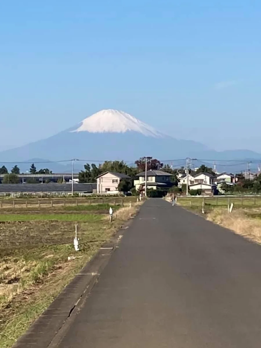 投稿写真：茅ヶ崎市　赤羽