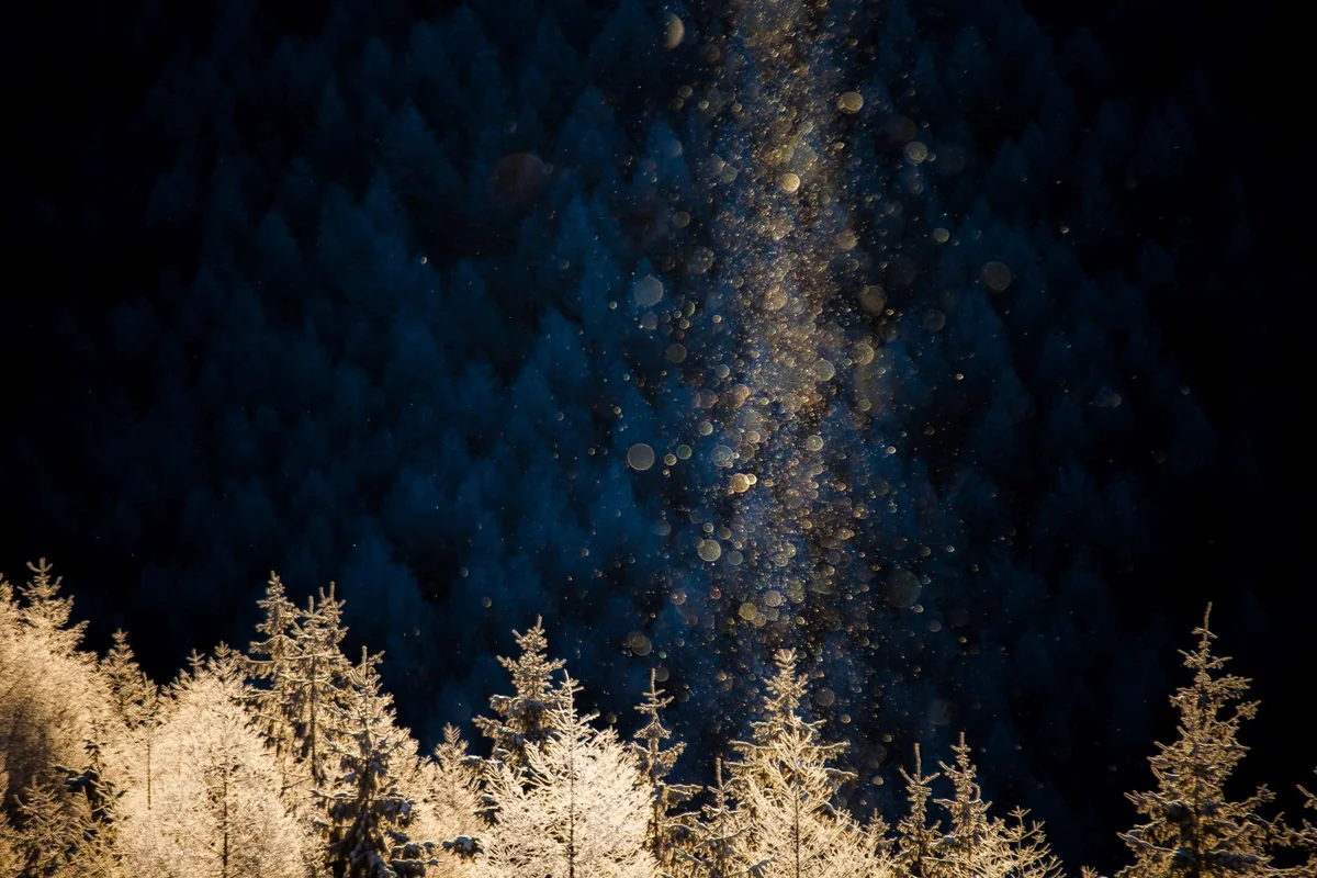 投稿写真：ダイヤモンドダスト