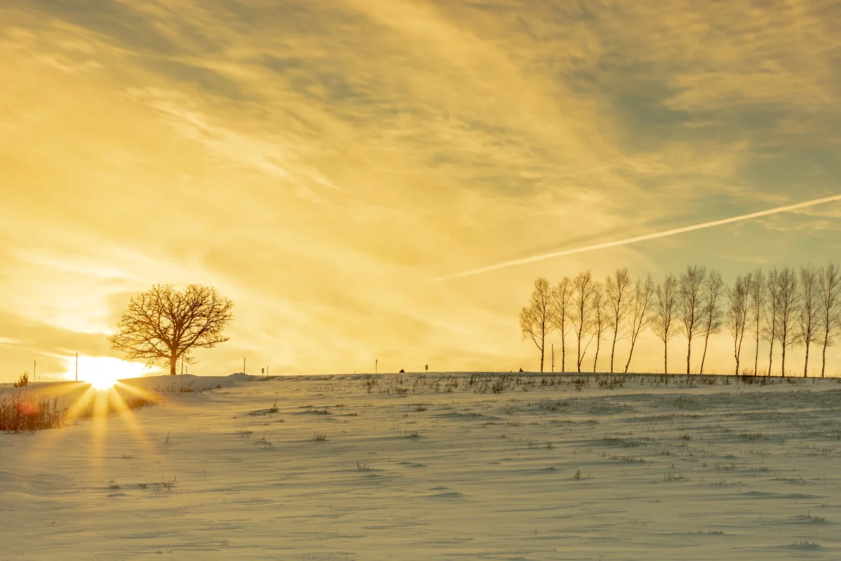 Akihiro Kuriyamaさんの投稿写真