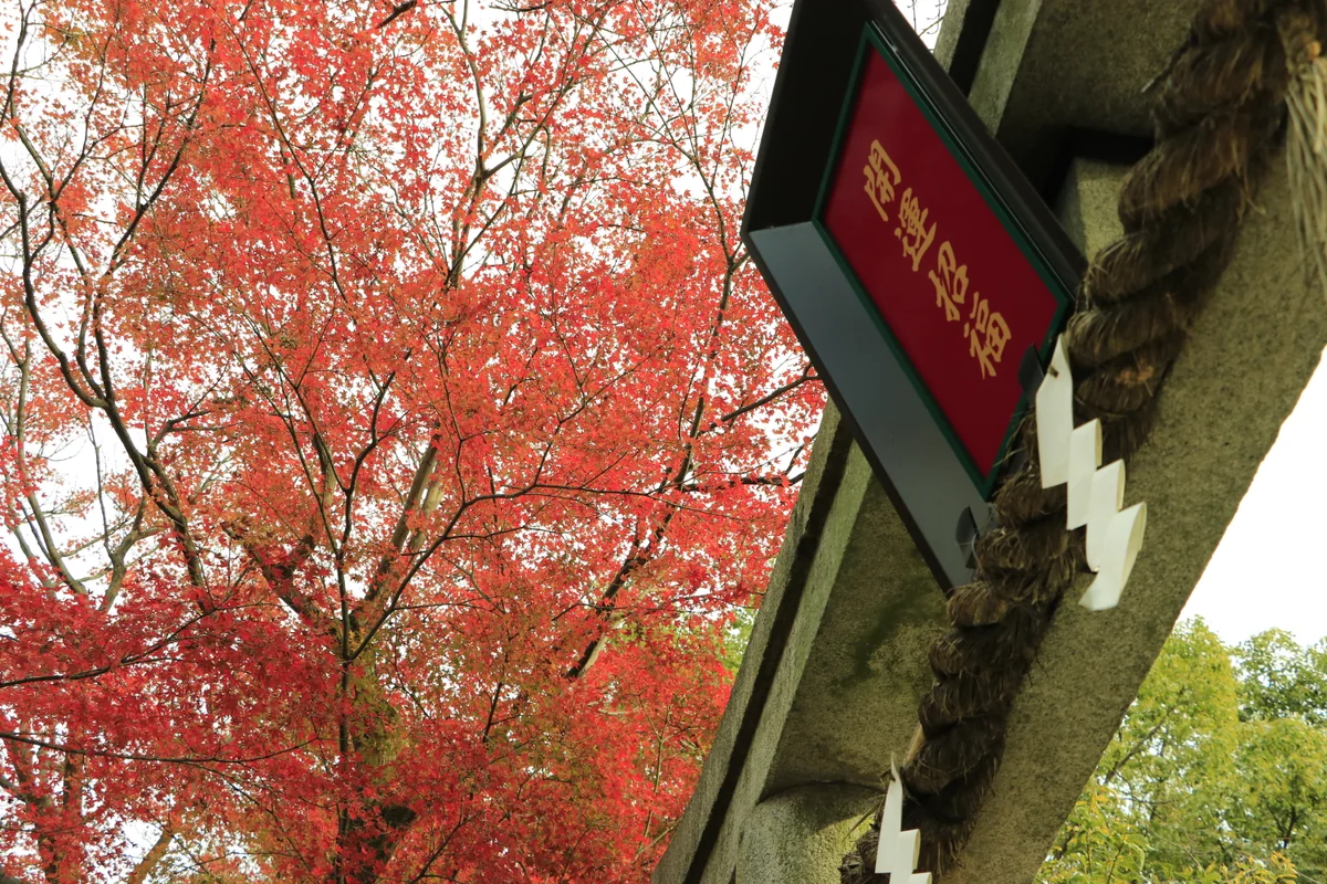投稿写真：車折神社の鳥居と紅葉