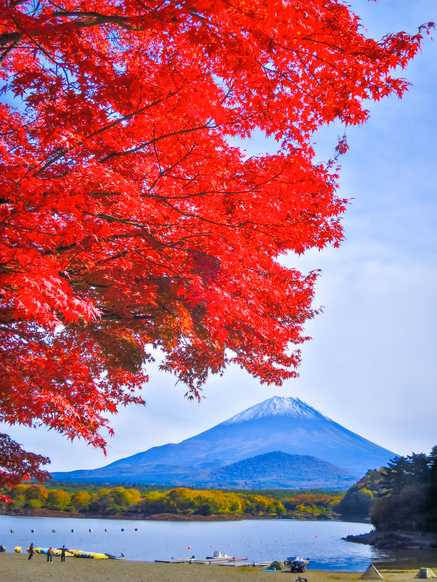 投稿写真：真紅の紅葉と冠雪富士