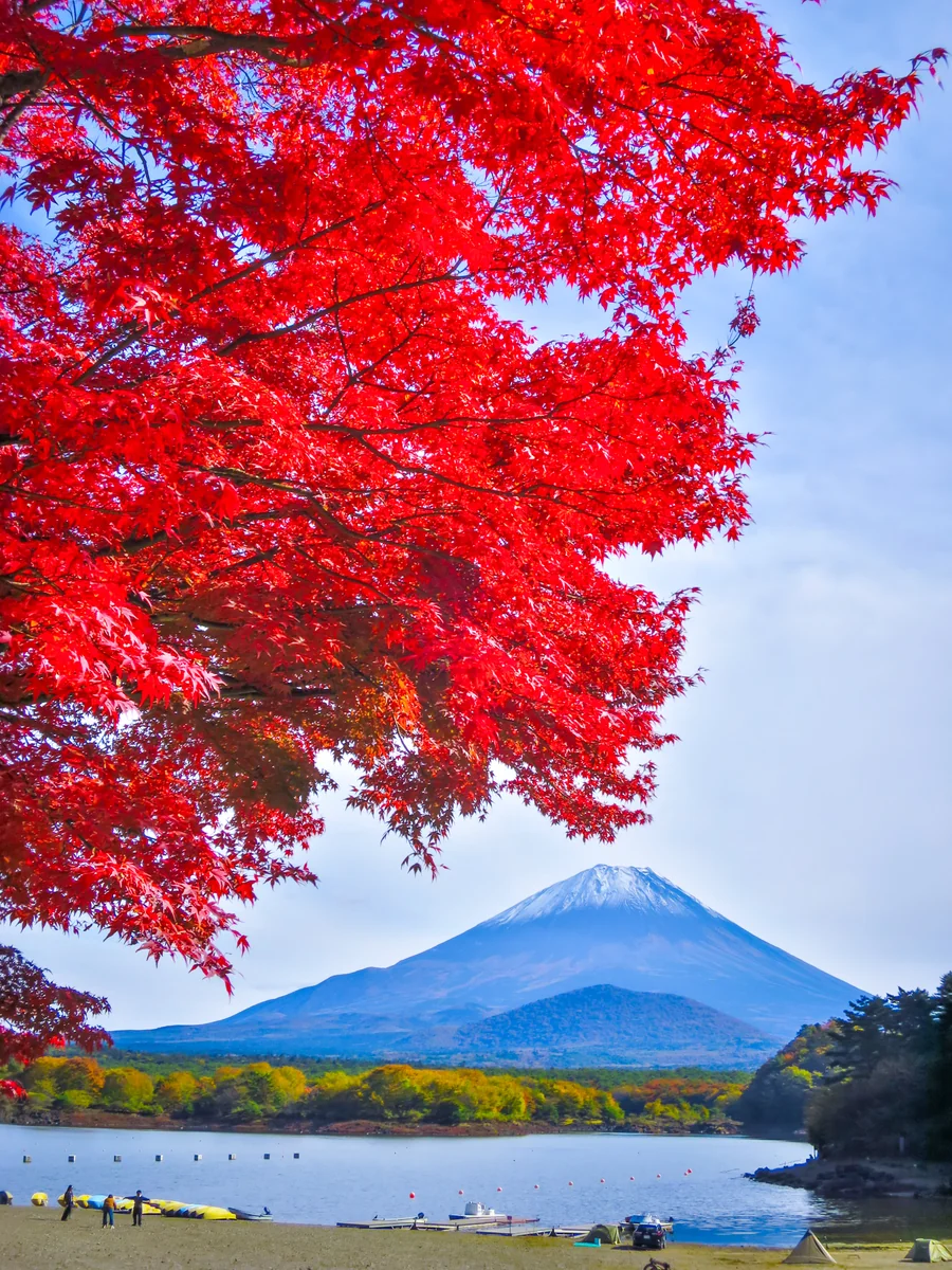 投稿写真：真紅の紅葉と冠雪富士