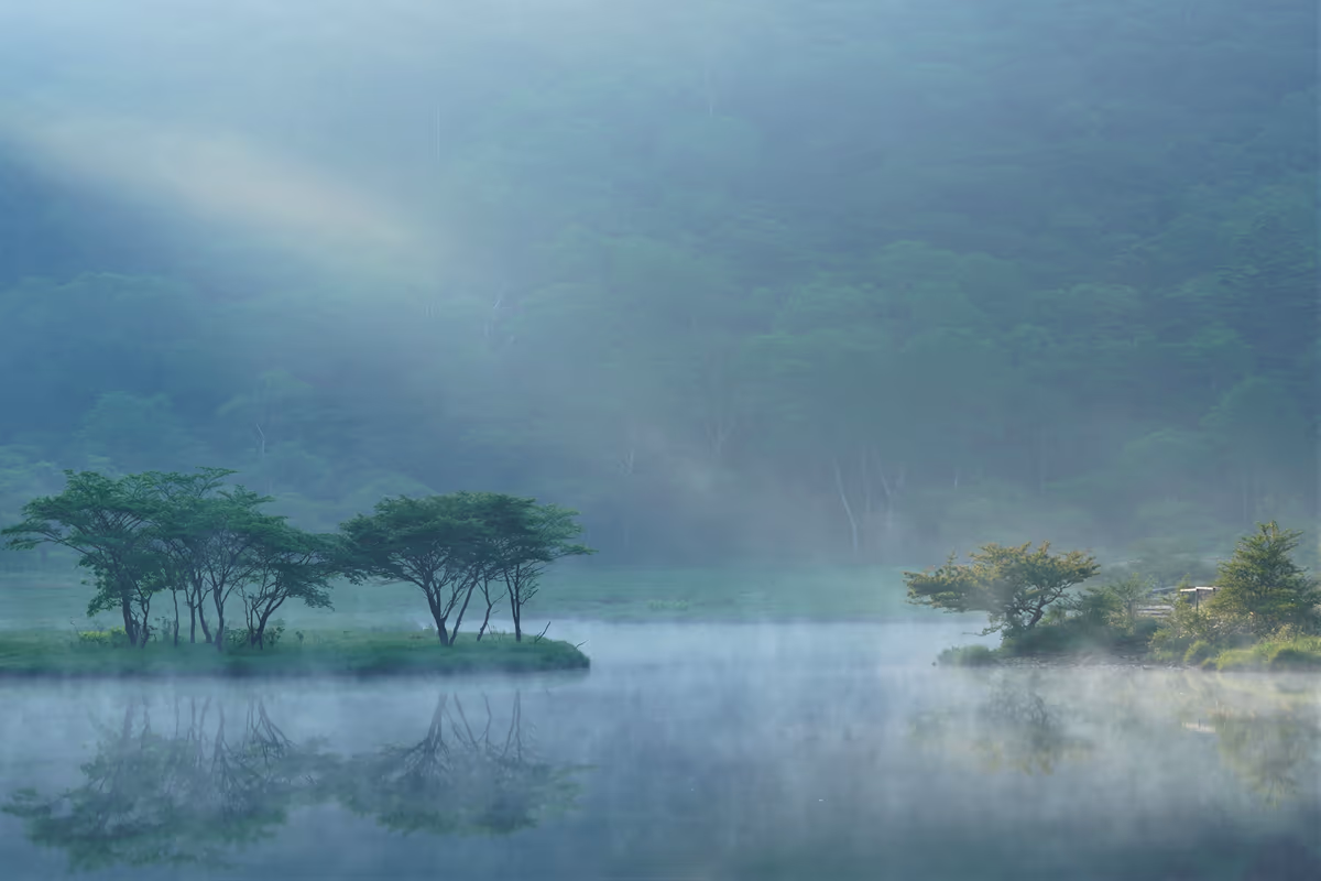 投稿写真：朝霧の覚満淵