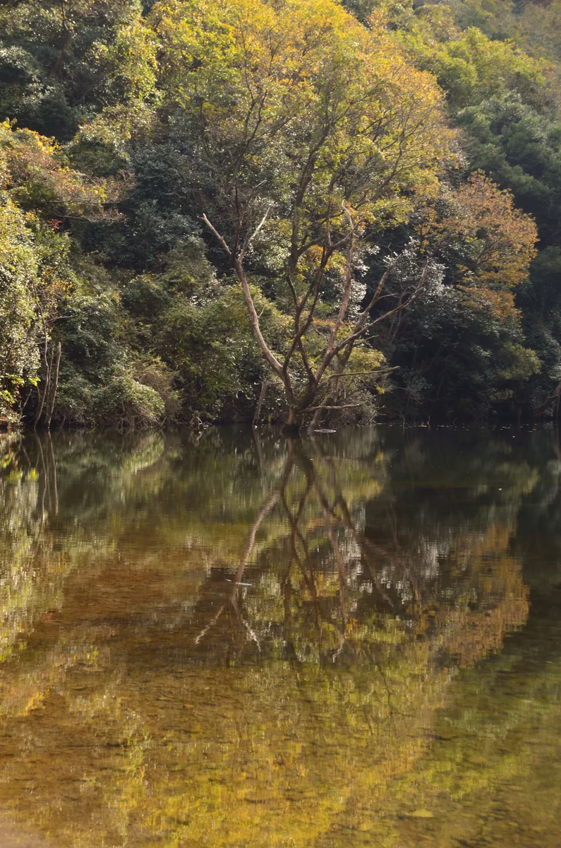 投稿写真：反射