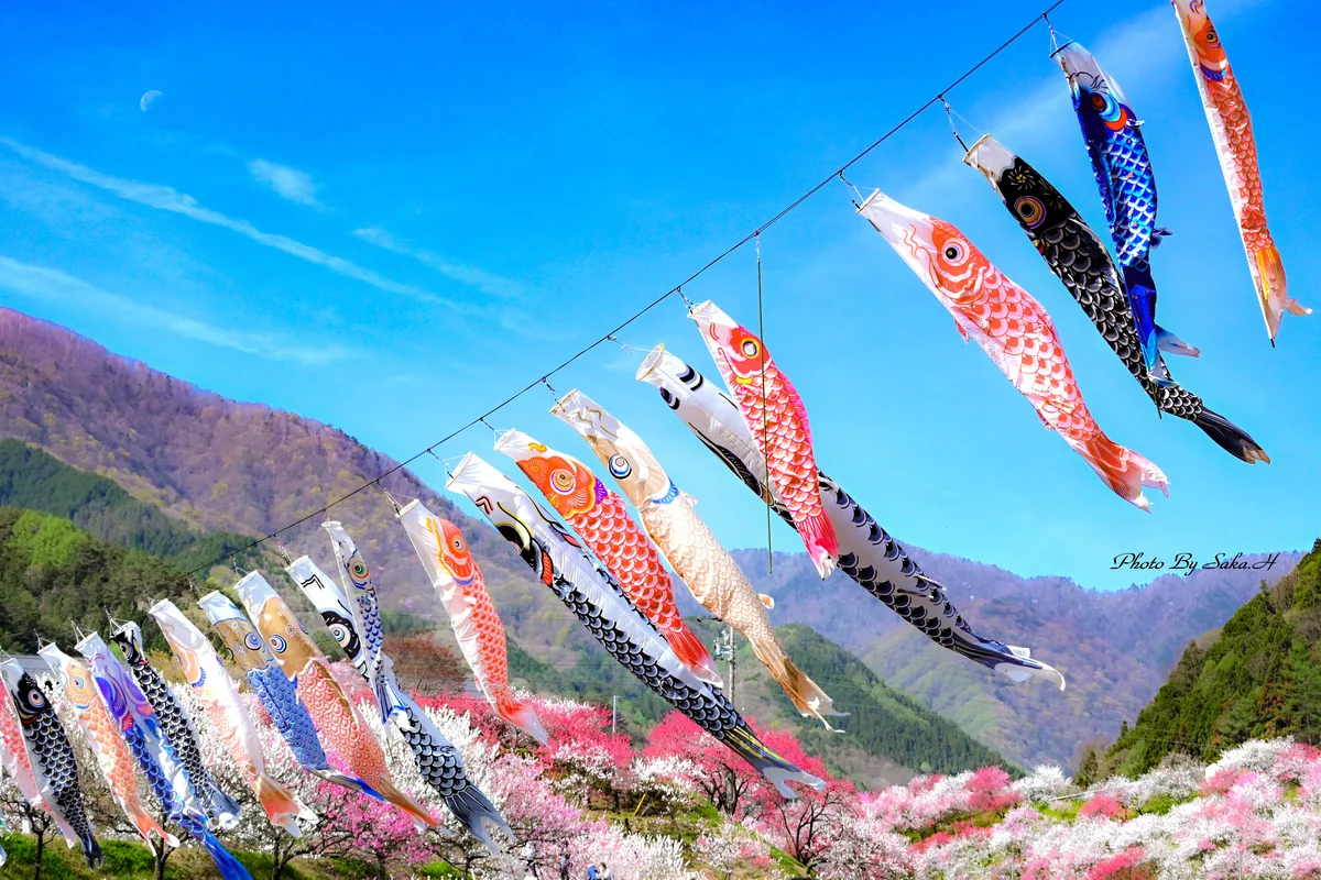 Hiromi Sakataさんの投稿写真