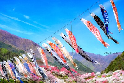  | 絶景事典