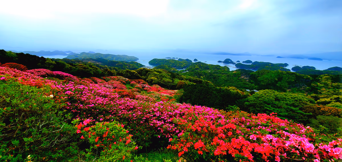 投稿写真：展望台のさらに上から