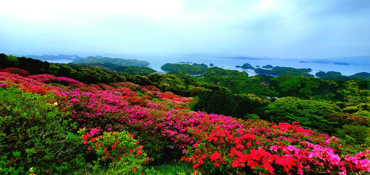 投稿写真：展望台のさらに上から