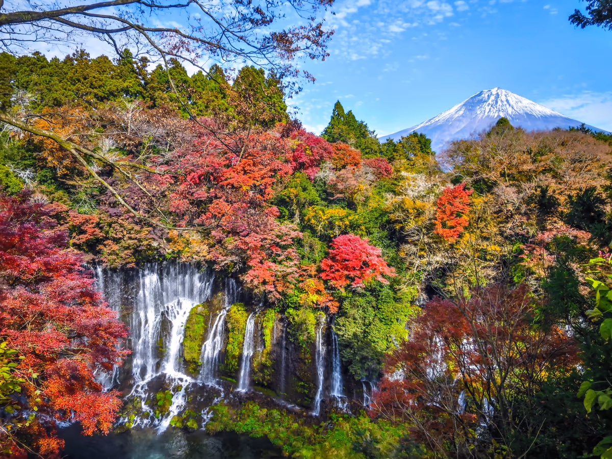 投稿写真：白糸の滝の紅葉と富士山