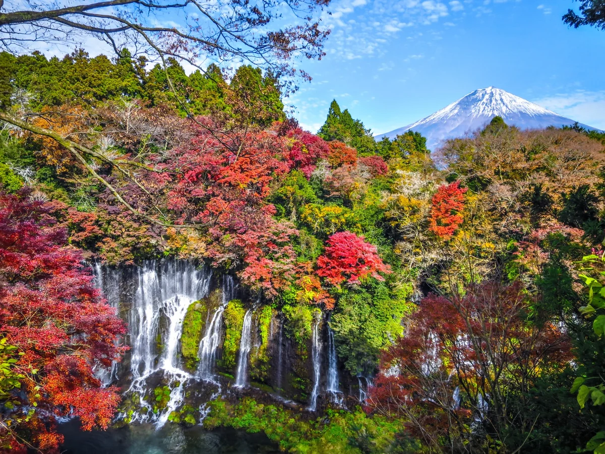 投稿写真：白糸の滝の紅葉と富士山