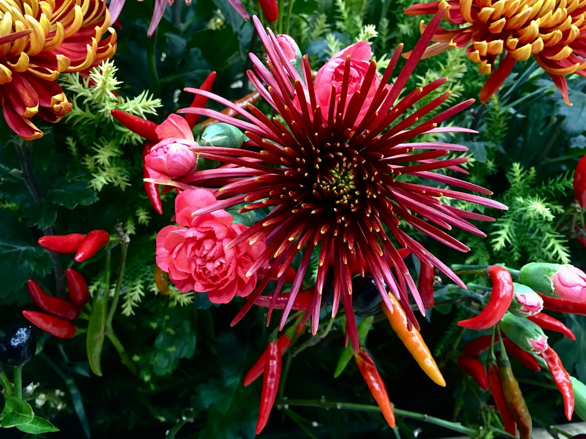 投稿写真：駅構内の観光展示室から。