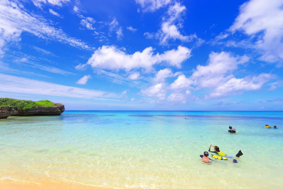 投稿写真：夏の思い出