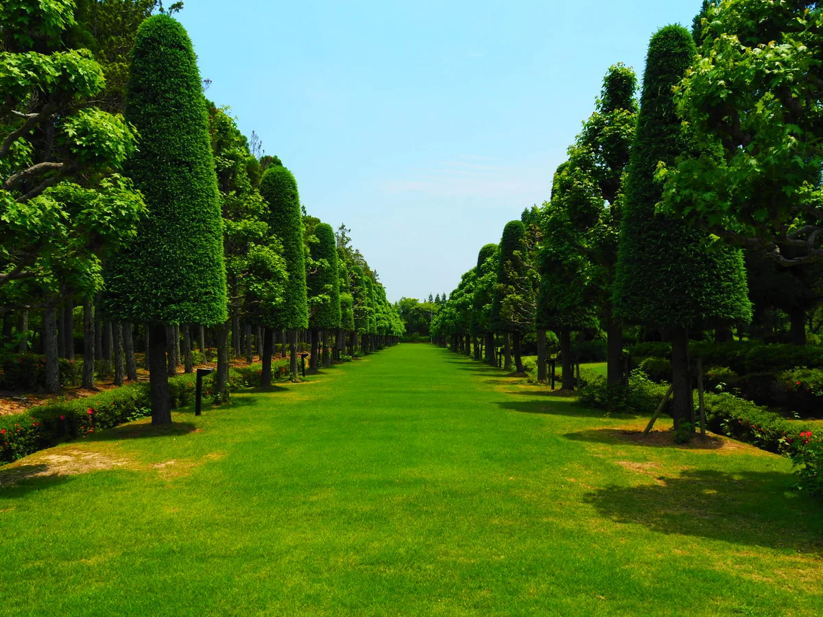 投稿写真：湧永庭園