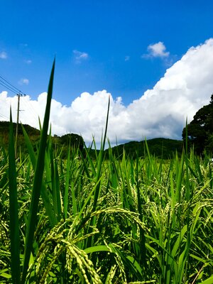  | 絶景事典