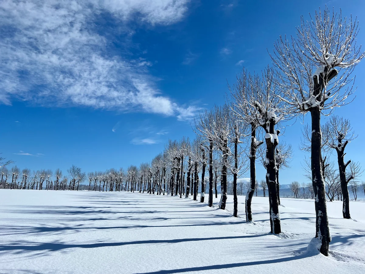 投稿写真：久々の晴天