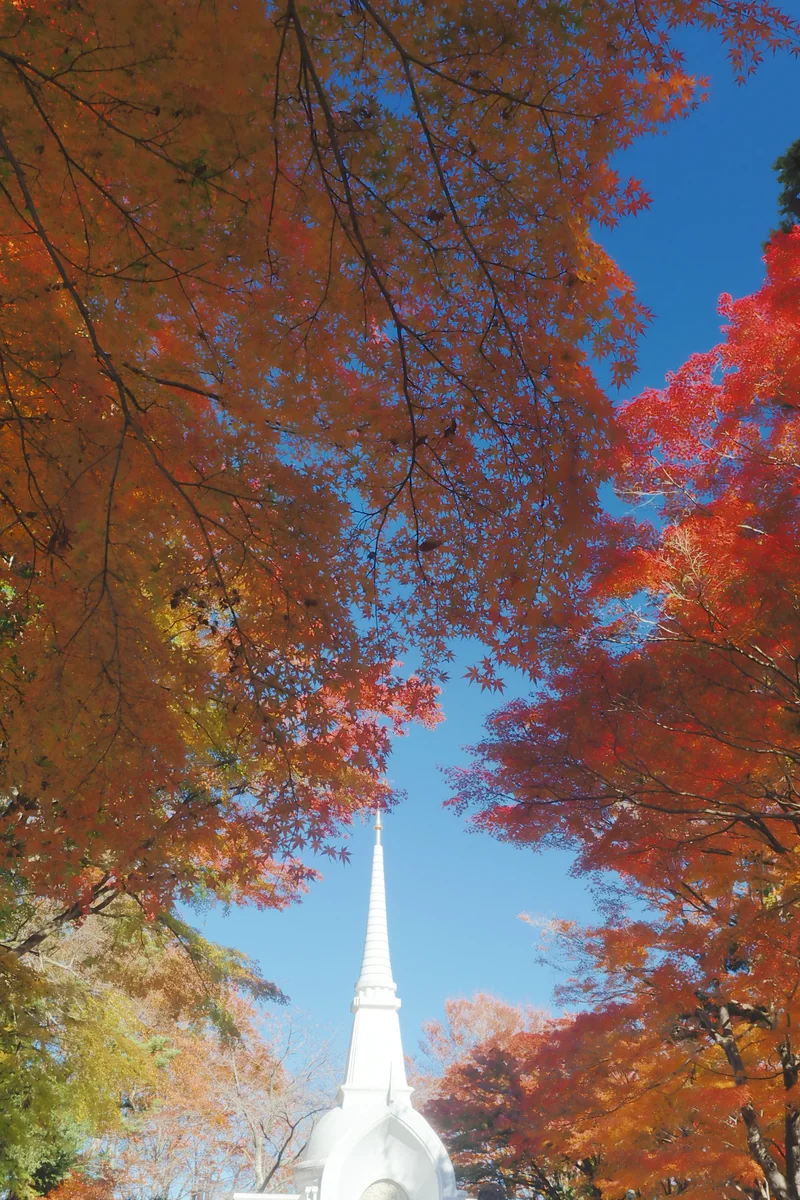 投稿写真：高尾山紅葉と硫黄島戦没者慰霊碑