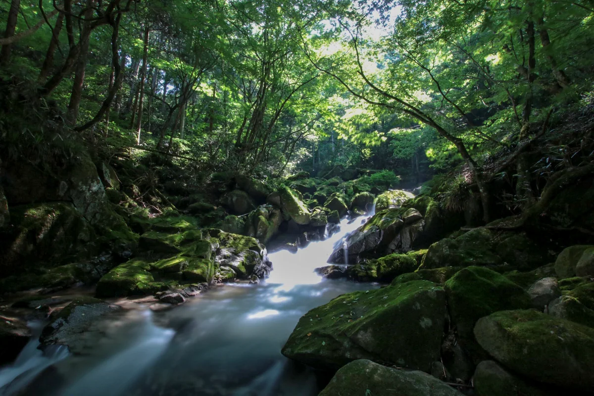 投稿写真：滝山渓谷