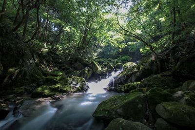  | 絶景事典