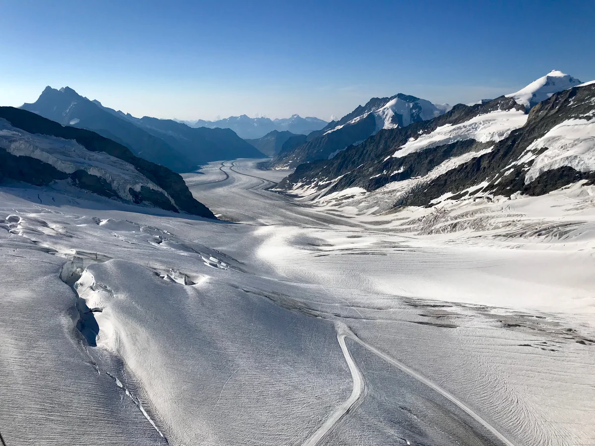 投稿写真：アレッチ氷河