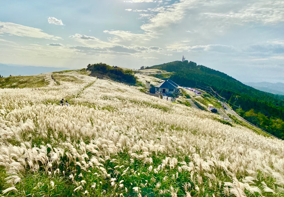 投稿写真：銀色金色に輝く天空の大海原