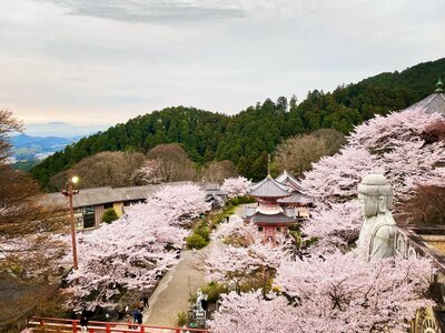  | 絶景事典