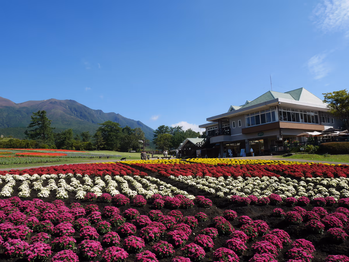 投稿写真：011くじゅう花公園（大分）