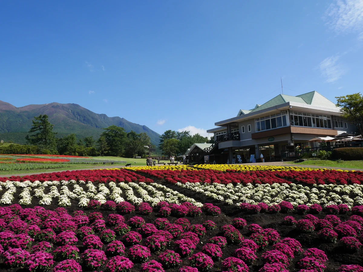 投稿写真：011くじゅう花公園（大分）