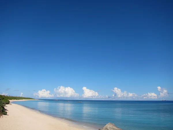 投稿：朝のニシ浜