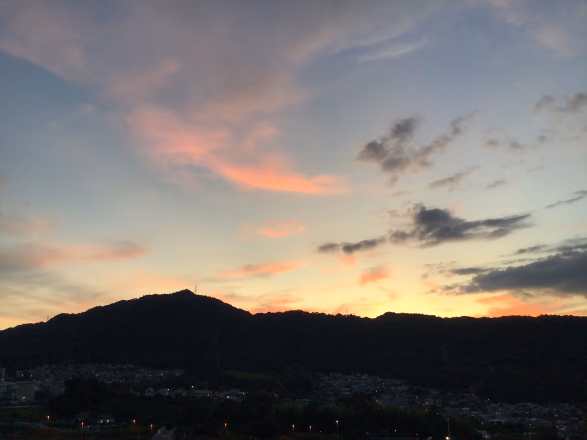 投稿写真：羽ばたく