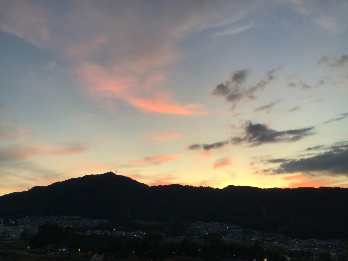 投稿写真：羽ばたく