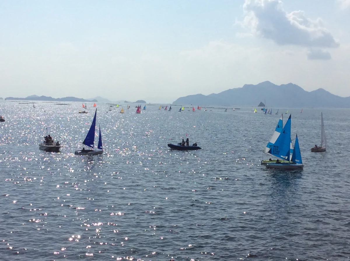 投稿写真：煌めき